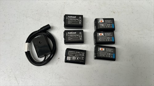 Fw50 batteries and dummy - np/fw50,
